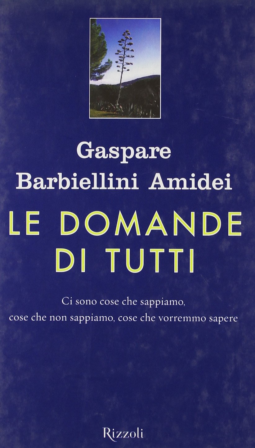 Le domande di tutti (Saggi italiani) Philosophy