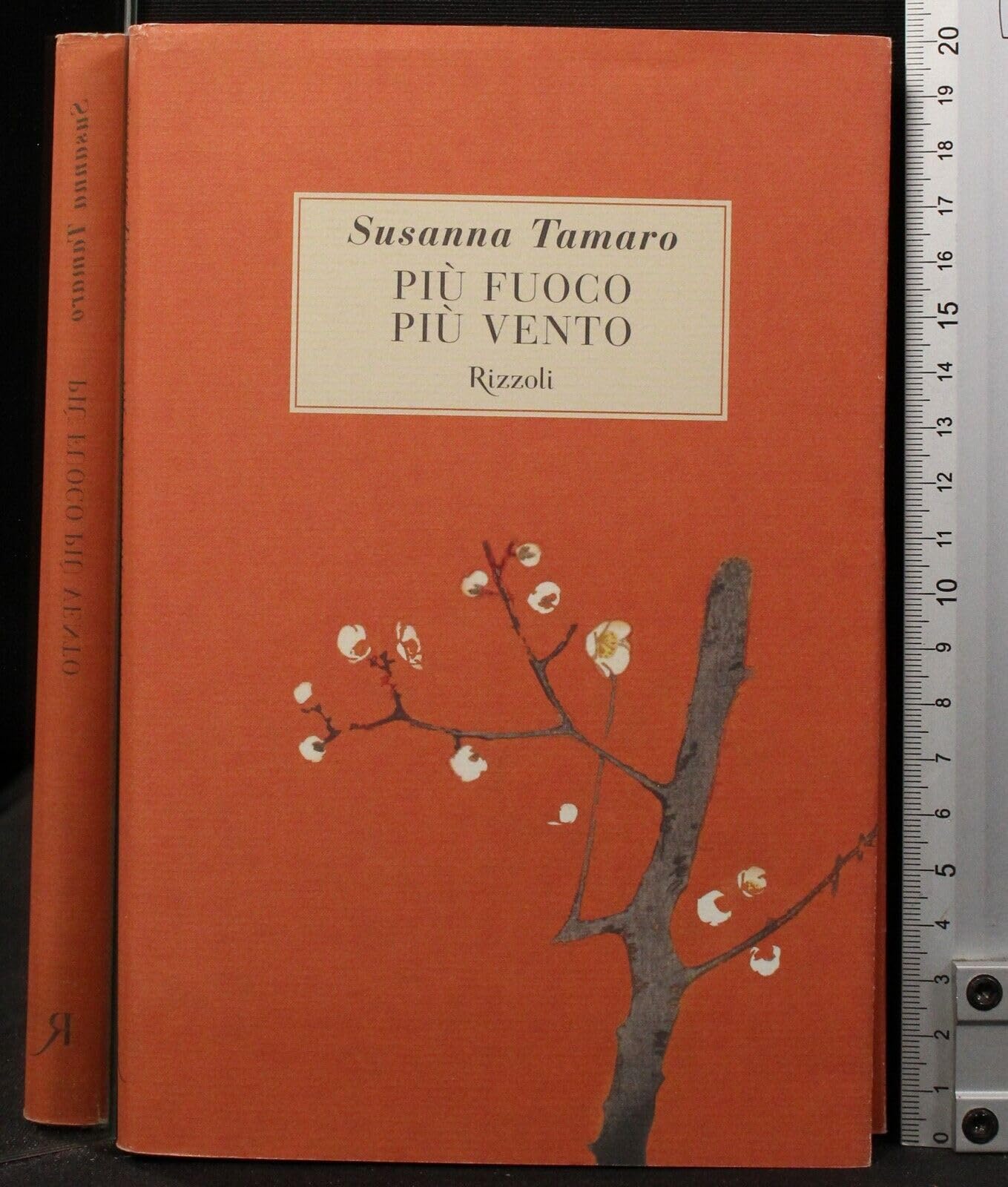 Più fuoco, più vento (Piccola biblioteca la scala) Contemporary literature Books
