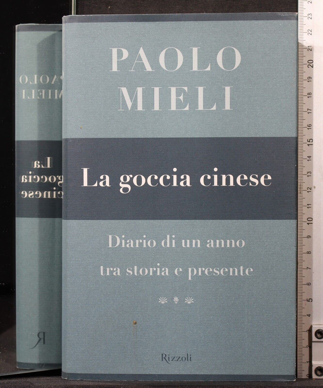 La goccia cinese. Diario di un anno tra storia e presente (Saggi italiani) Books