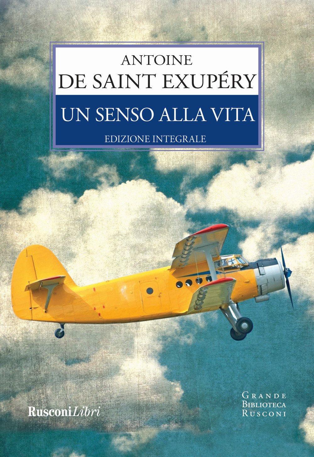 Un senso alla vita. Ediz. integrale book