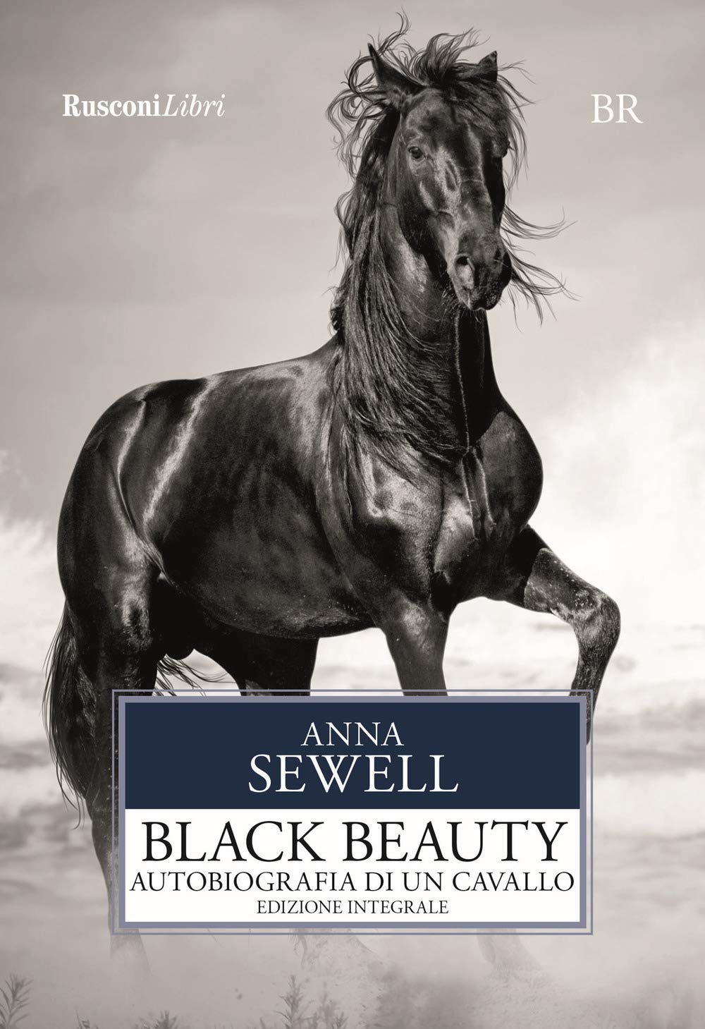 Black Beauty. Autobiografia di un cavallo. Ediz. integrale book