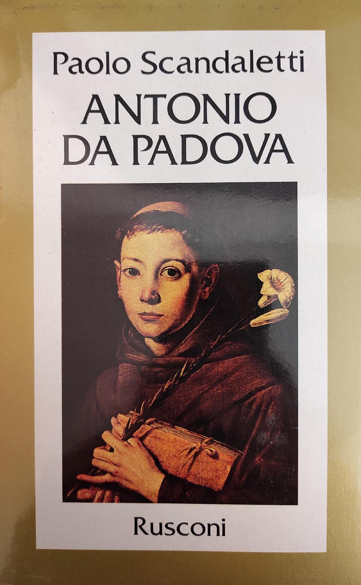 Giovanni XXIII il papa del Concilio (Vite) Politics & Society