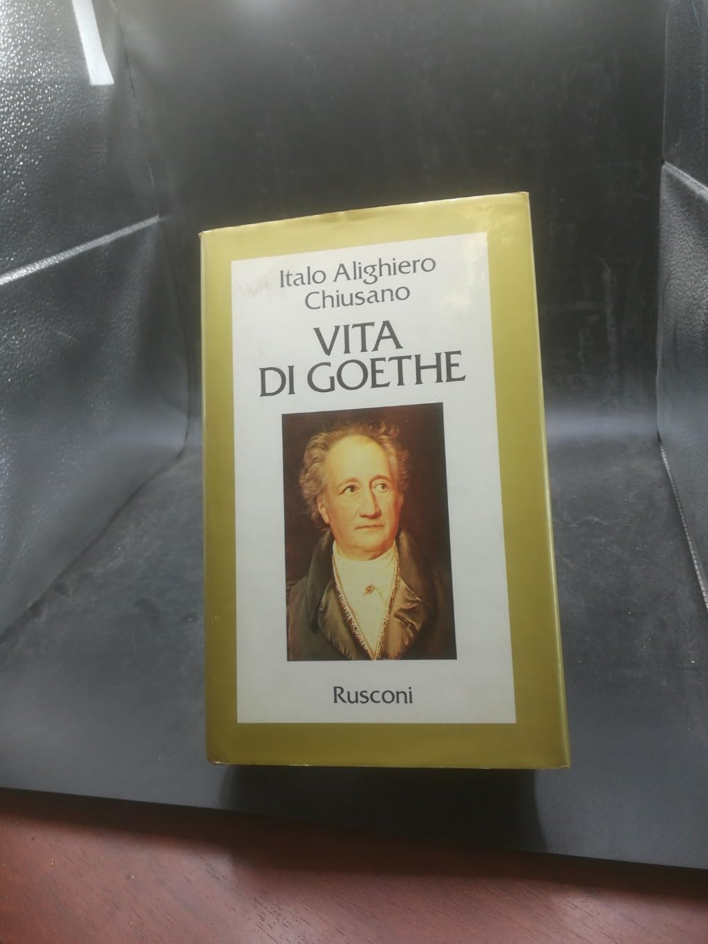Vita di Goethe (Vite) Contemporary literature