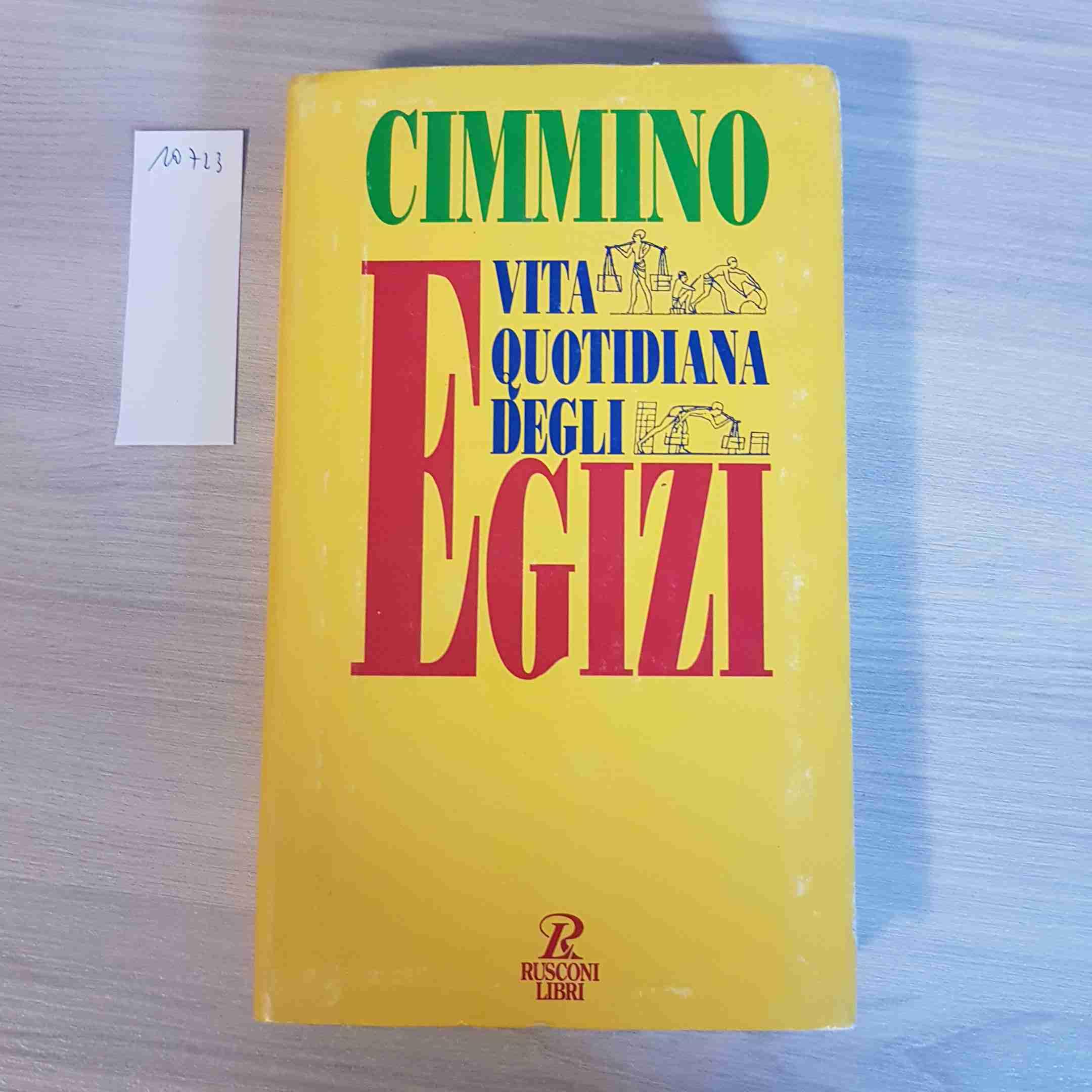 Vita quotidiana degli egizi book
