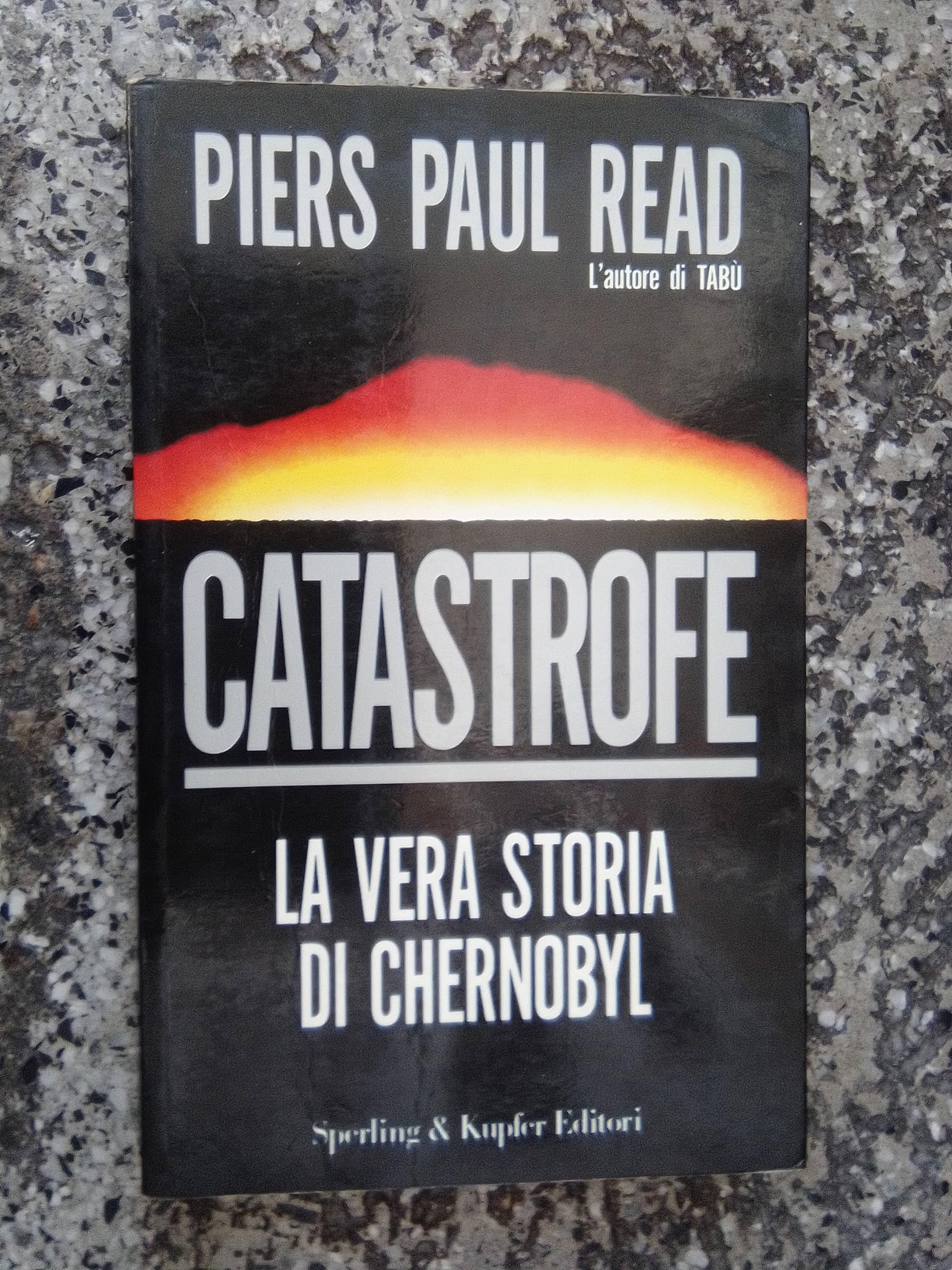 Catastrofe. La vera storia di Chernobyl book