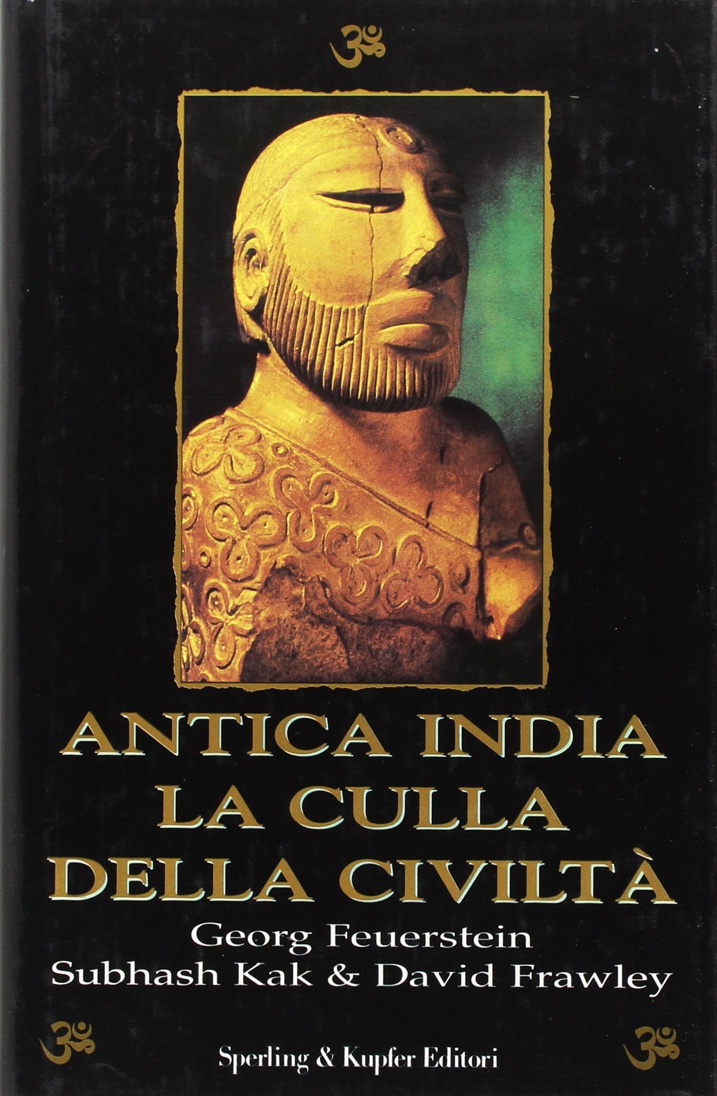 Antica India. La culla della civiltà book
