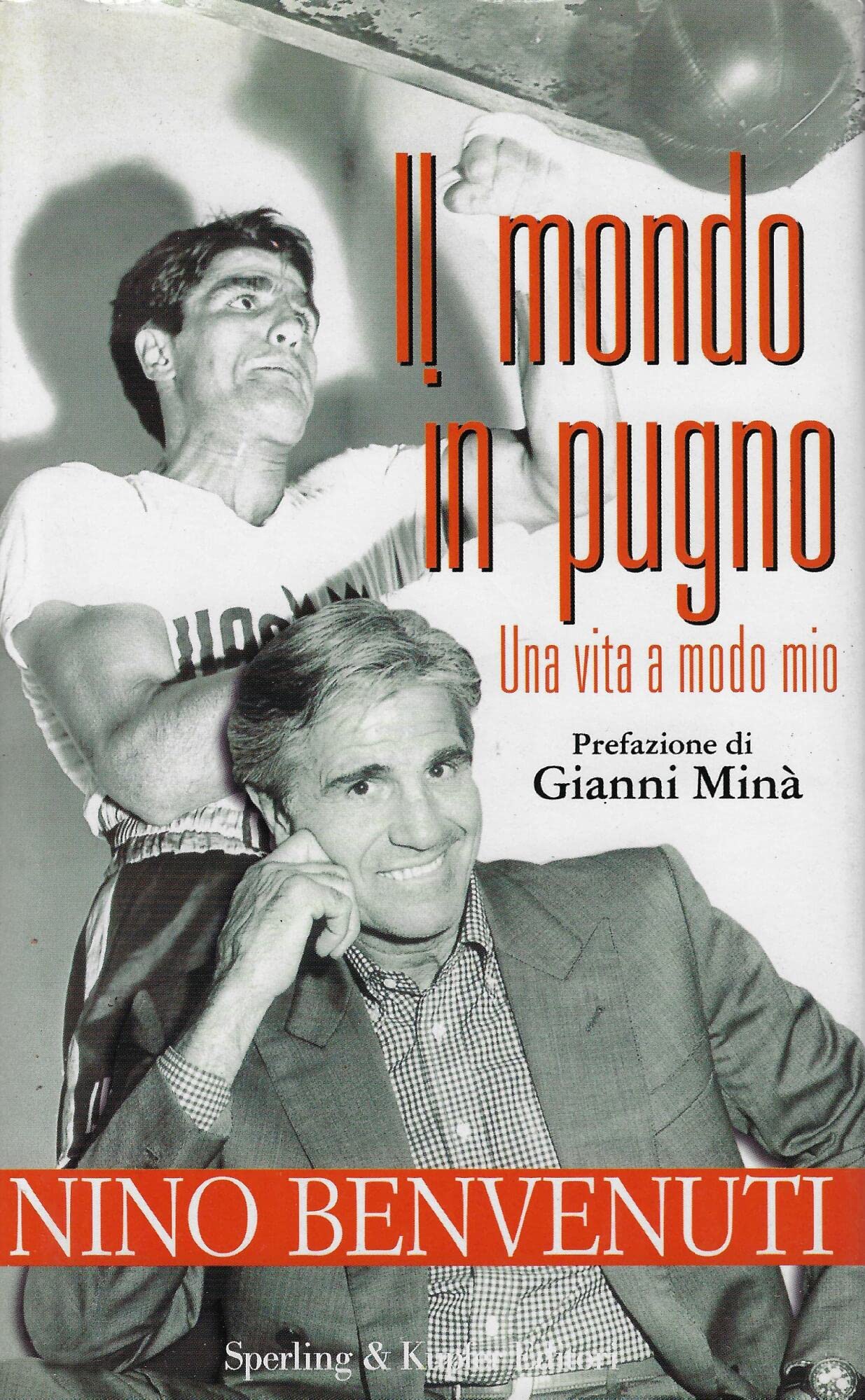 Il mondo in pugno book