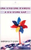 Una stagione d'amore a Big Stone Gap book