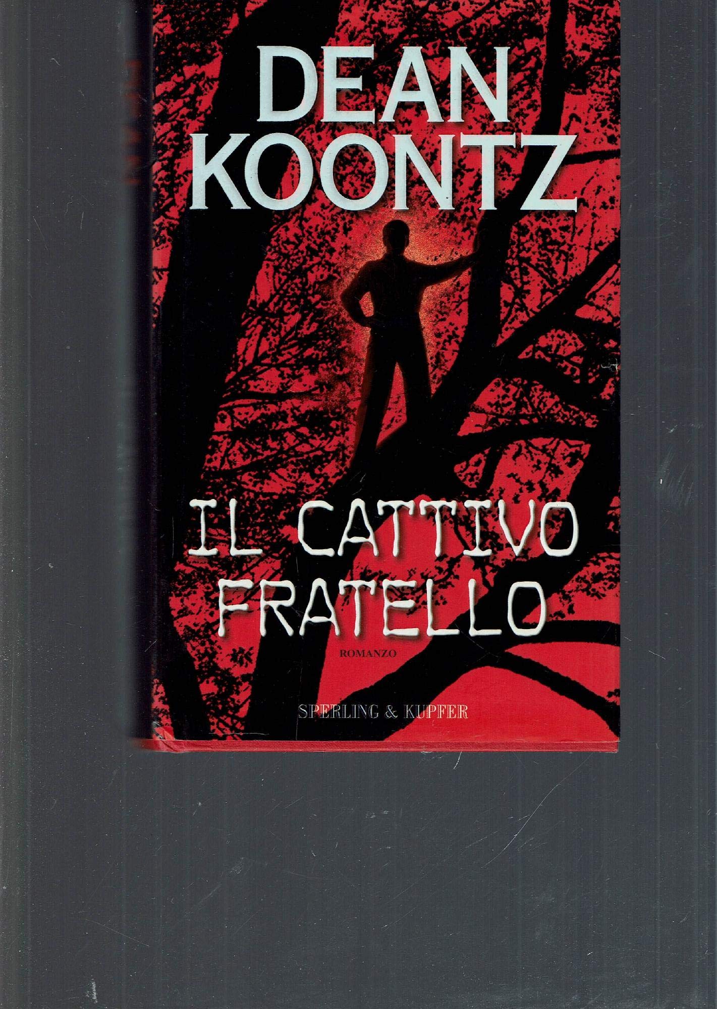 Il Cattivo fratello (Narrativa) Contemporary literature