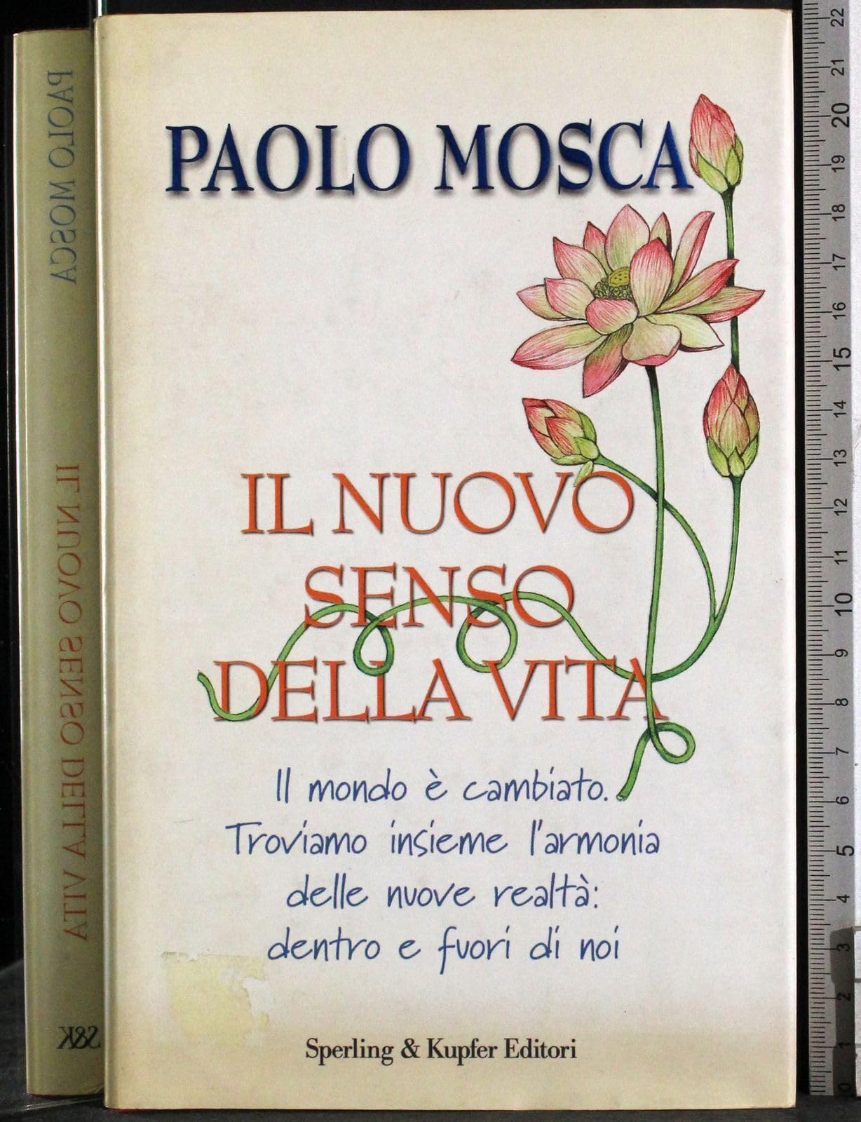 Il nuovo senso della vita book