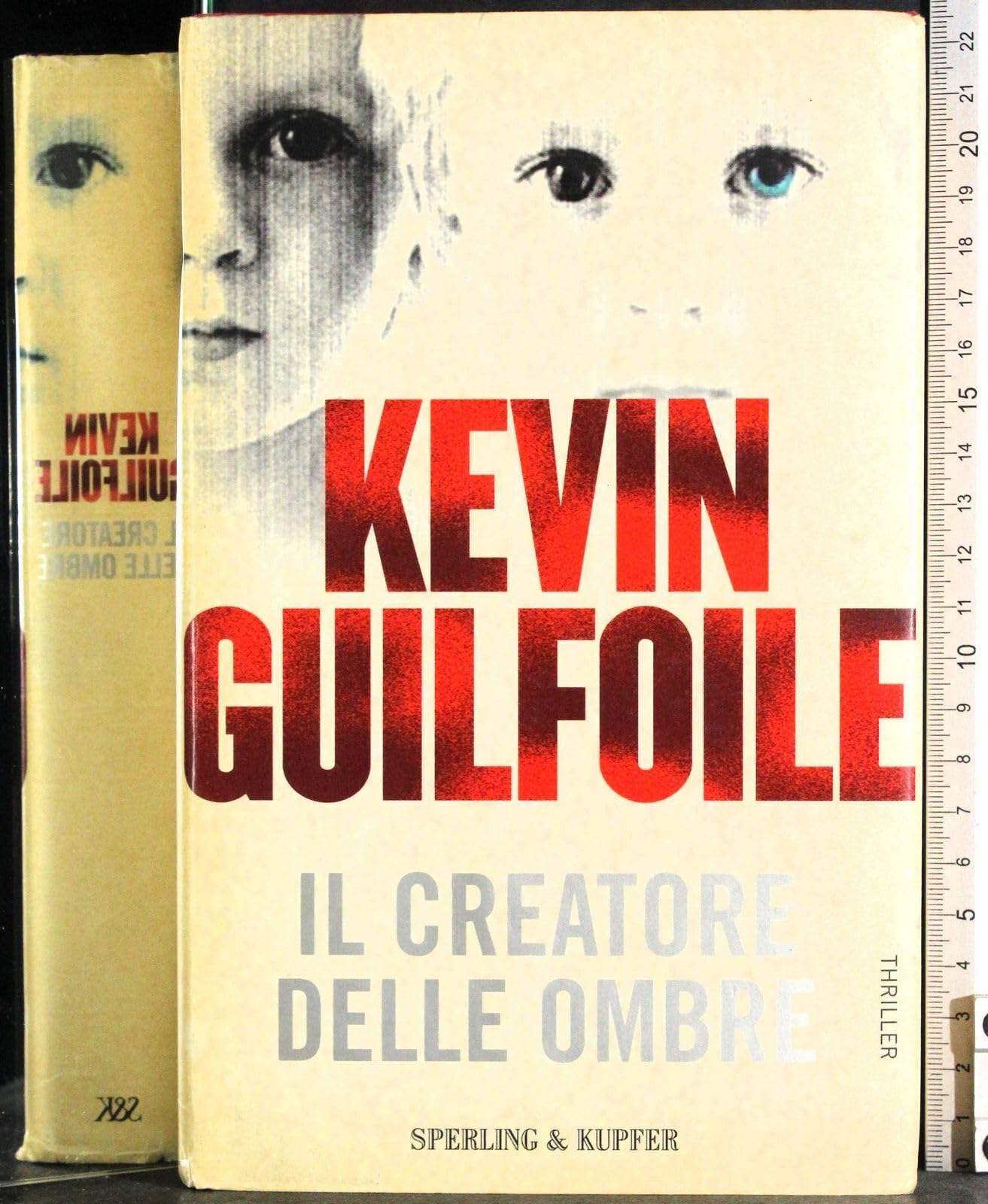 Il creatore delle ombre book