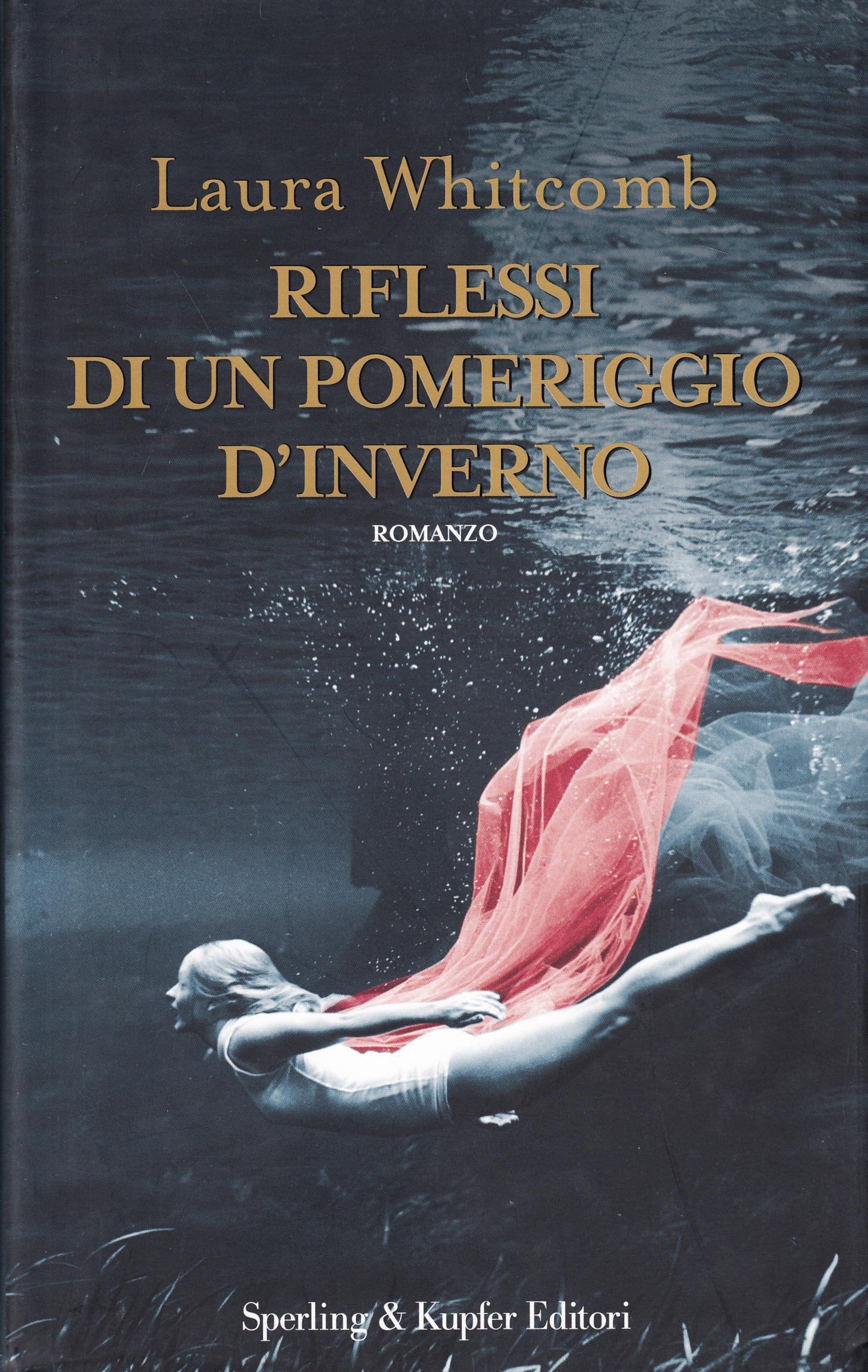 Riflessi di un pomeriggio d'inverno book