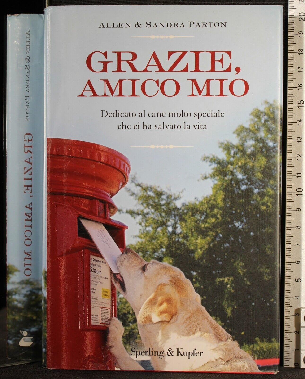 Grazie, amico mio. Dedicato al cane molto speciale che ci ha salvato la vita International