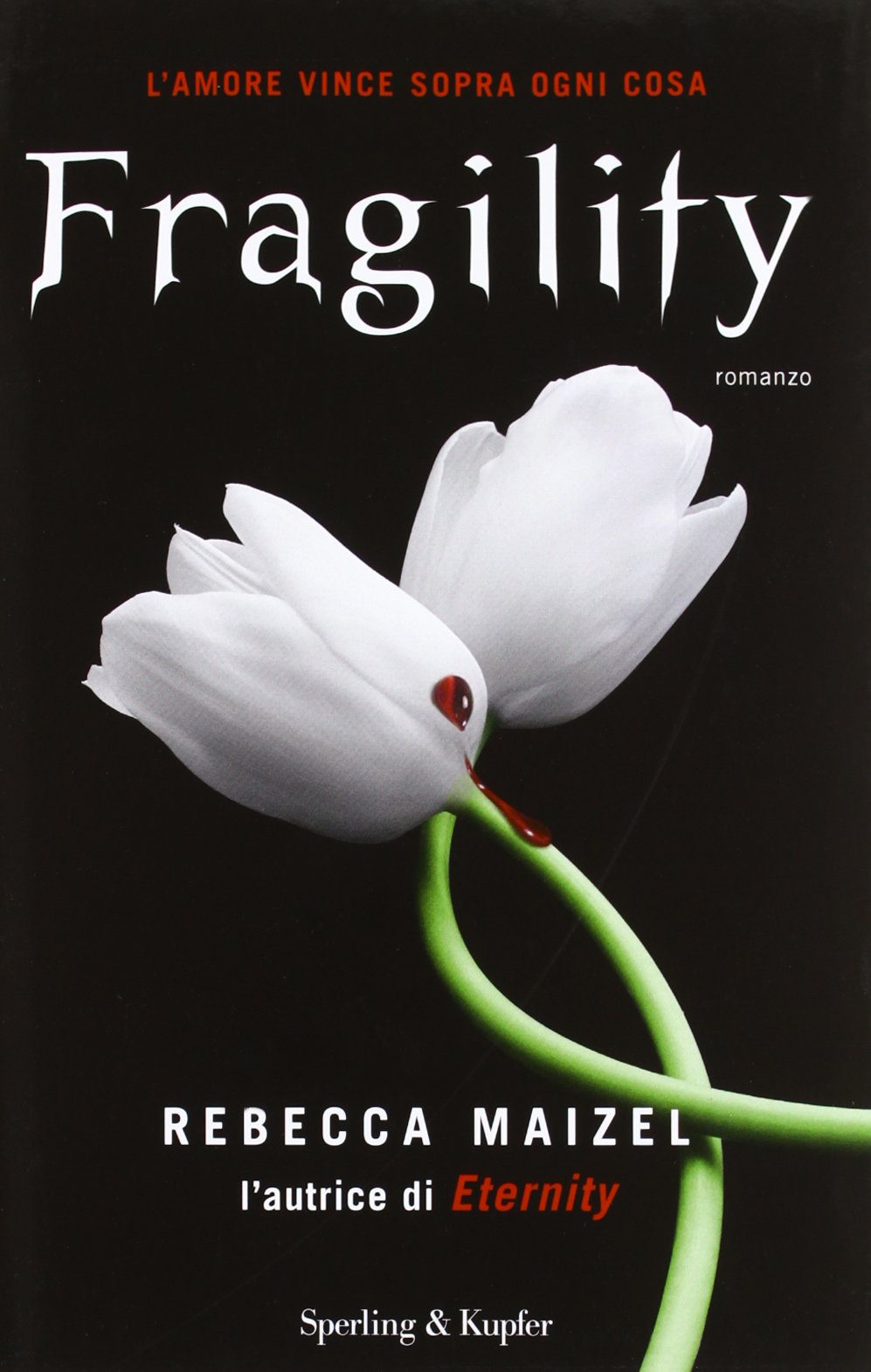 Fragility. Ediz. illustrata book