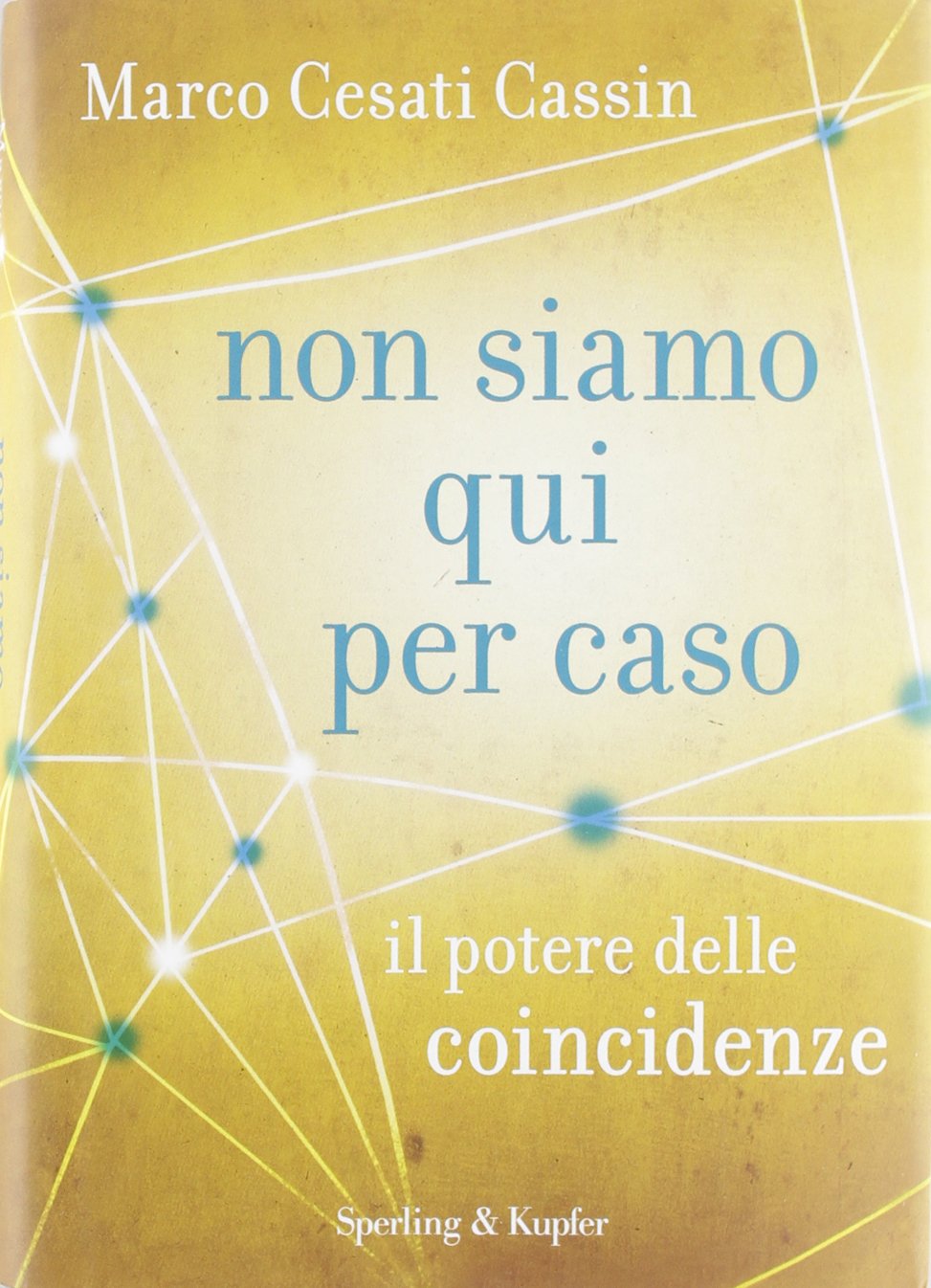 Non siamo qui per caso. Il potere delle coincidenze book