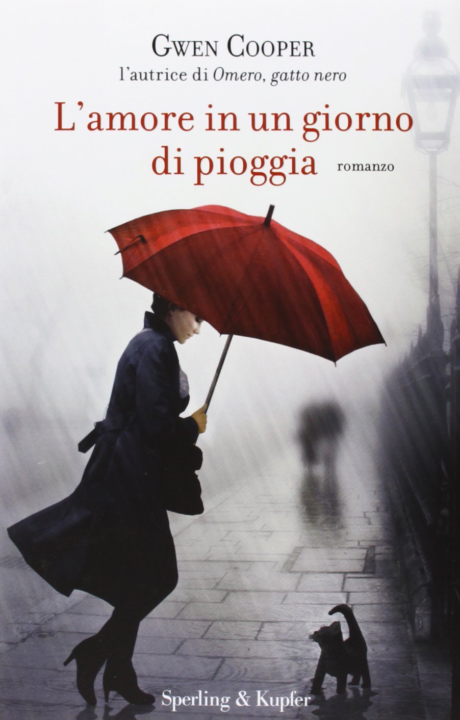 L'amore in un giorno di pioggia book