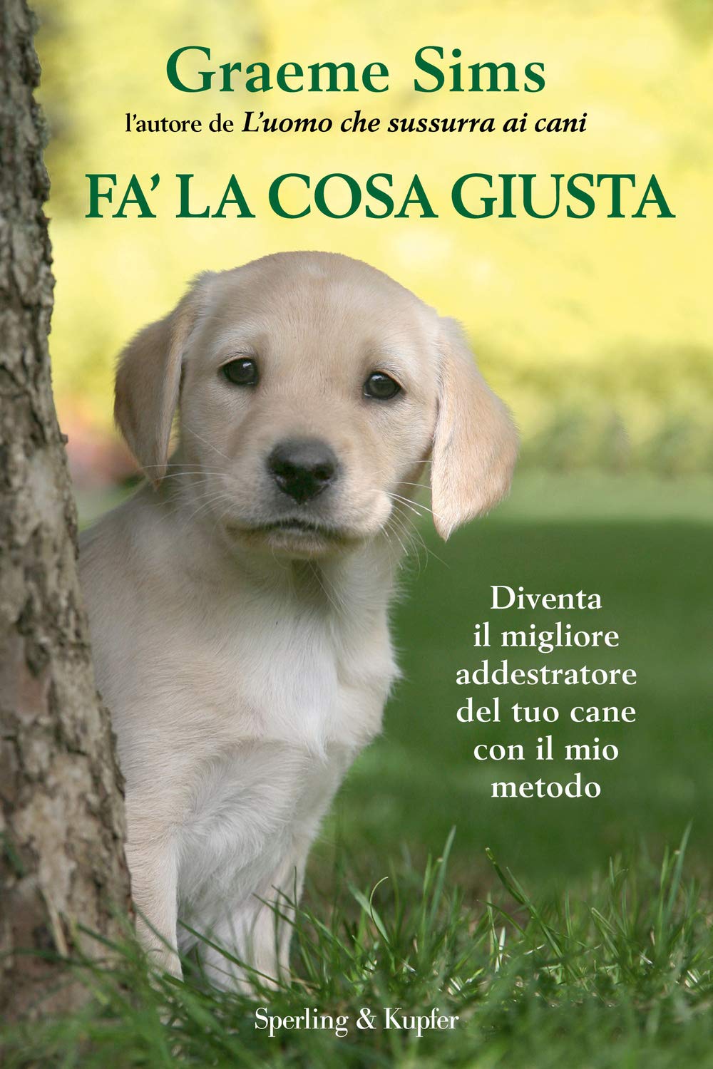 Fa' la cosa giusta. Diventa il migliore addestratore del tuo cane con il mio metodo. Con gadget (Varia) Pets