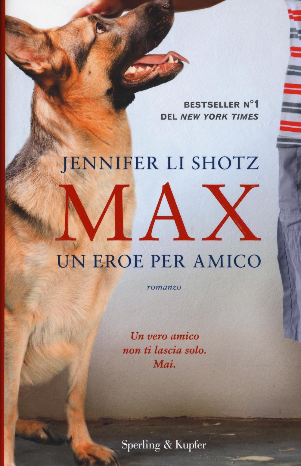 Max. Un eroe per amico (Pandora) Contemporary literature