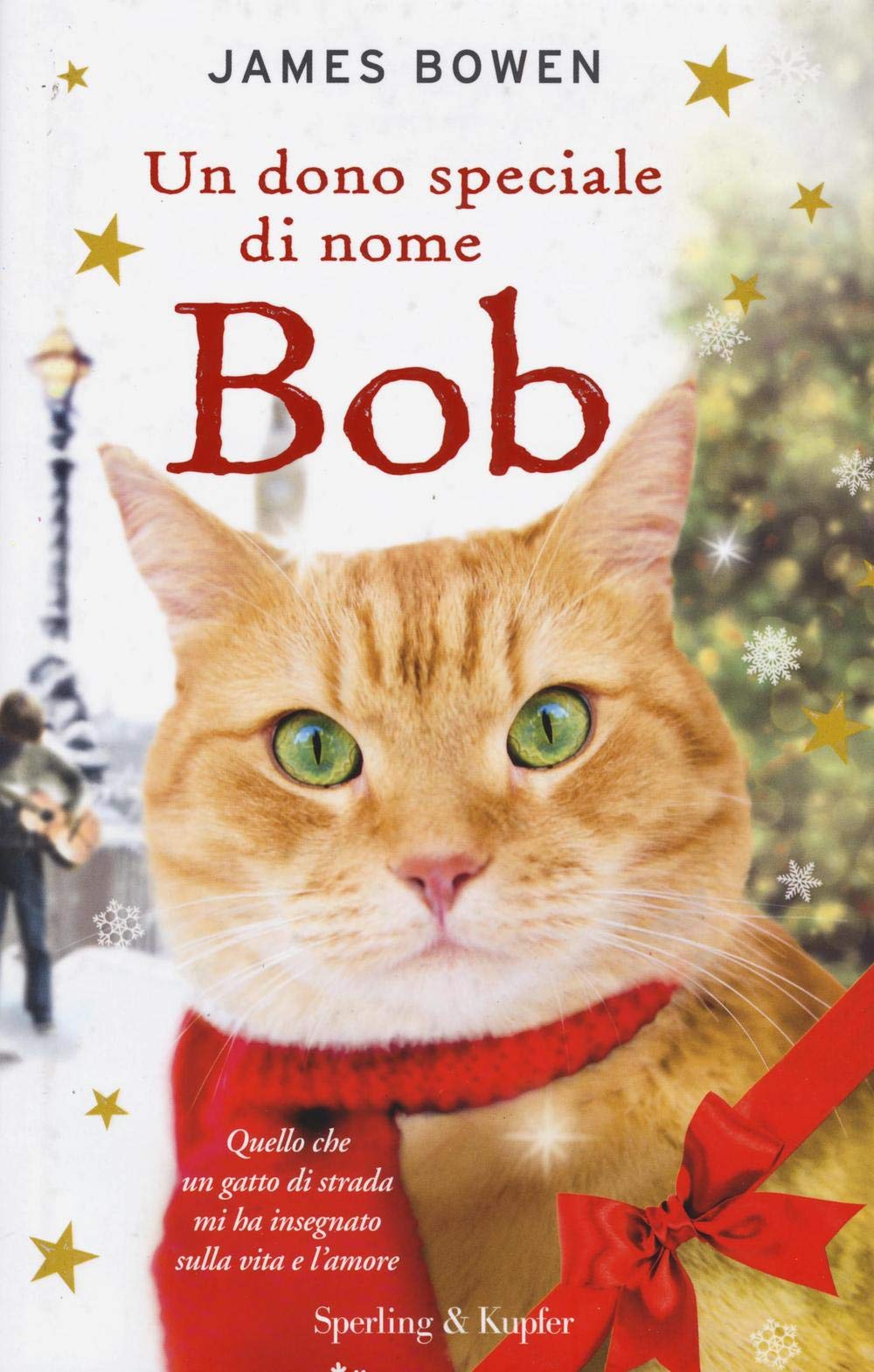 Un dono speciale di nome Bob (Pandora) Contemporary literature
