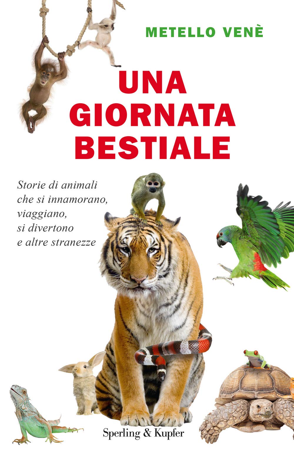 Una giornata bestiale. Storie di animali che si innamorano, viaggiano, si divertono e altre stranezze book