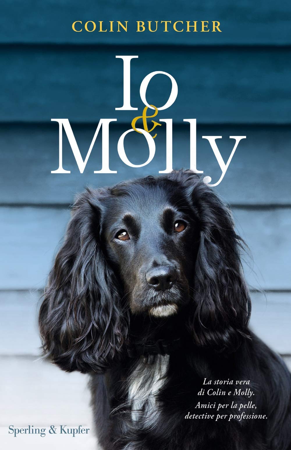 Colin Butcher - Io & Molly (1 BOOKS) Contemporary literature