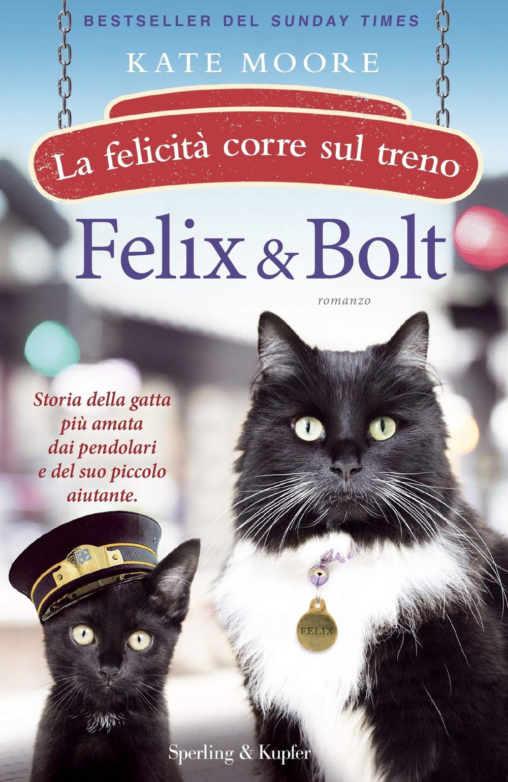 Felix & Bolt. La felicità corre sul treno book