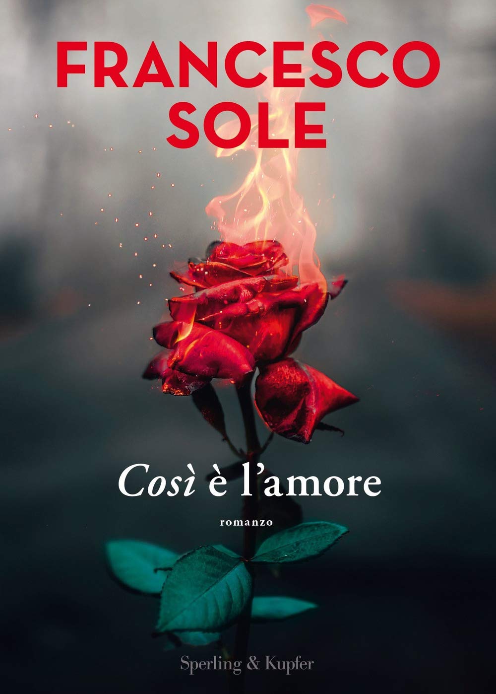 Così è l'amore (Varia) Contemporary literature Books