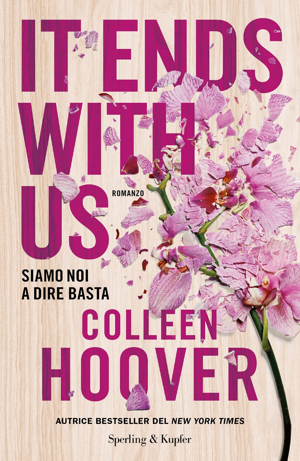 It ends with us. Siamo noi a dire basta Contemporary literature