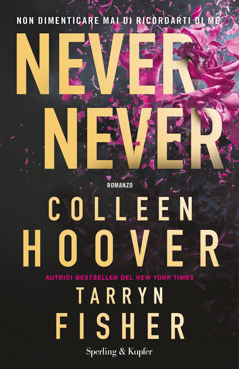 Never never. Non dimenticare mai di ricordarti di me (Pandora) Contemporary literature