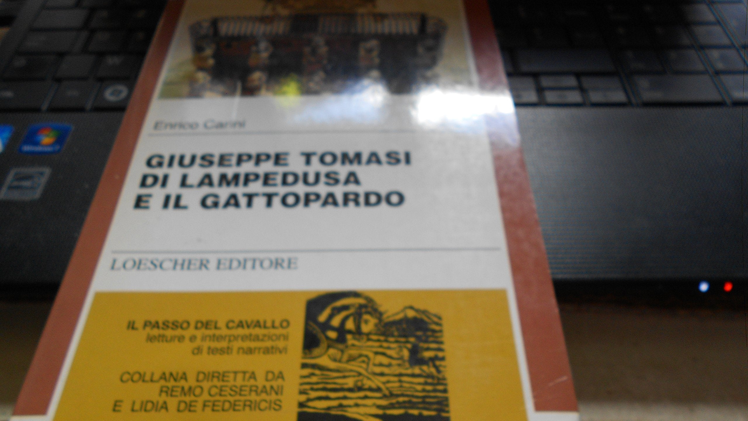 Giuseppe Tomasi di Lampedusa e Il gattopardo (Il passo del cavallo) Contemporary literature