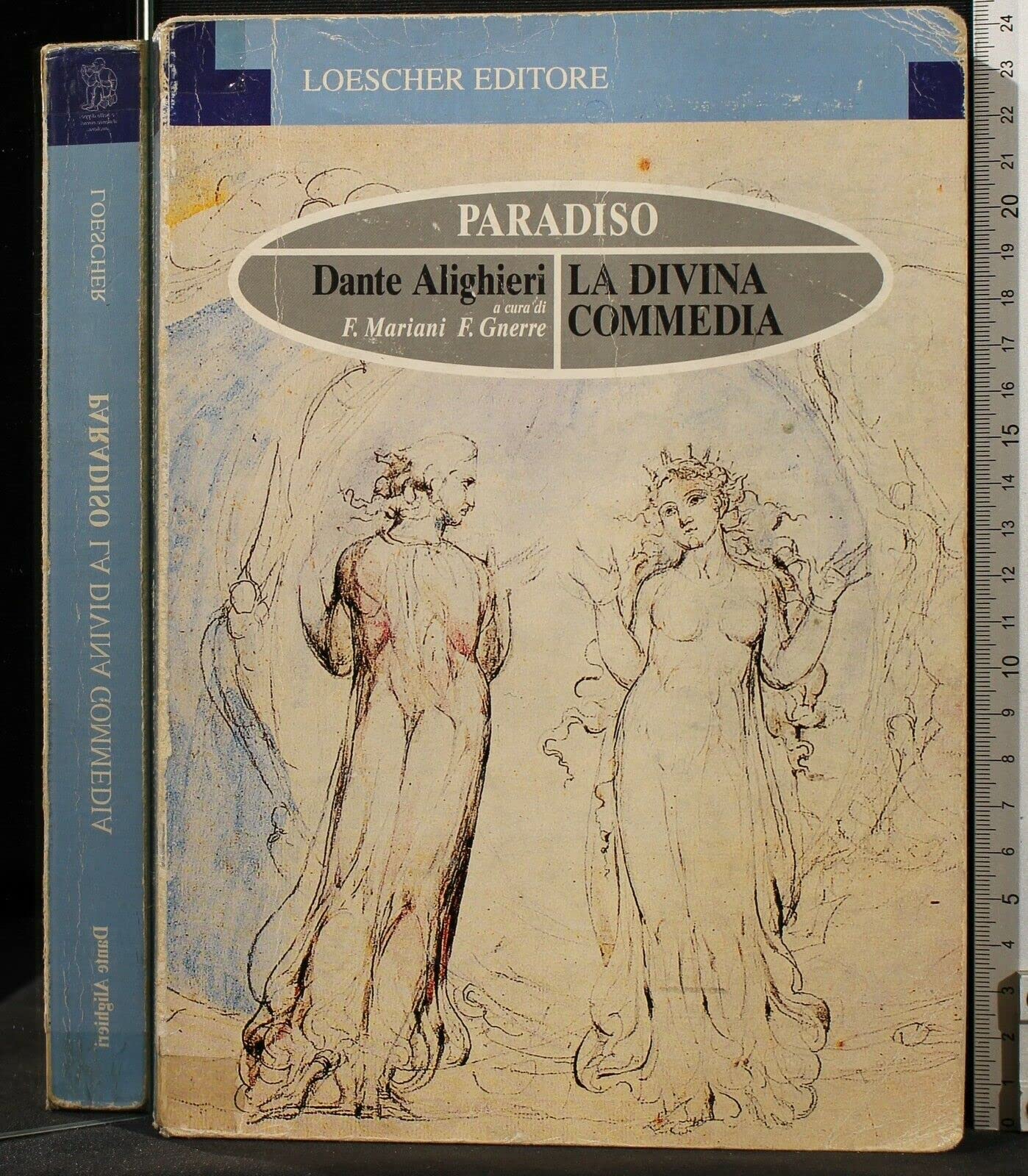 La Divina Commedia. Paradiso (Classici italiani) Professional & Reference Books