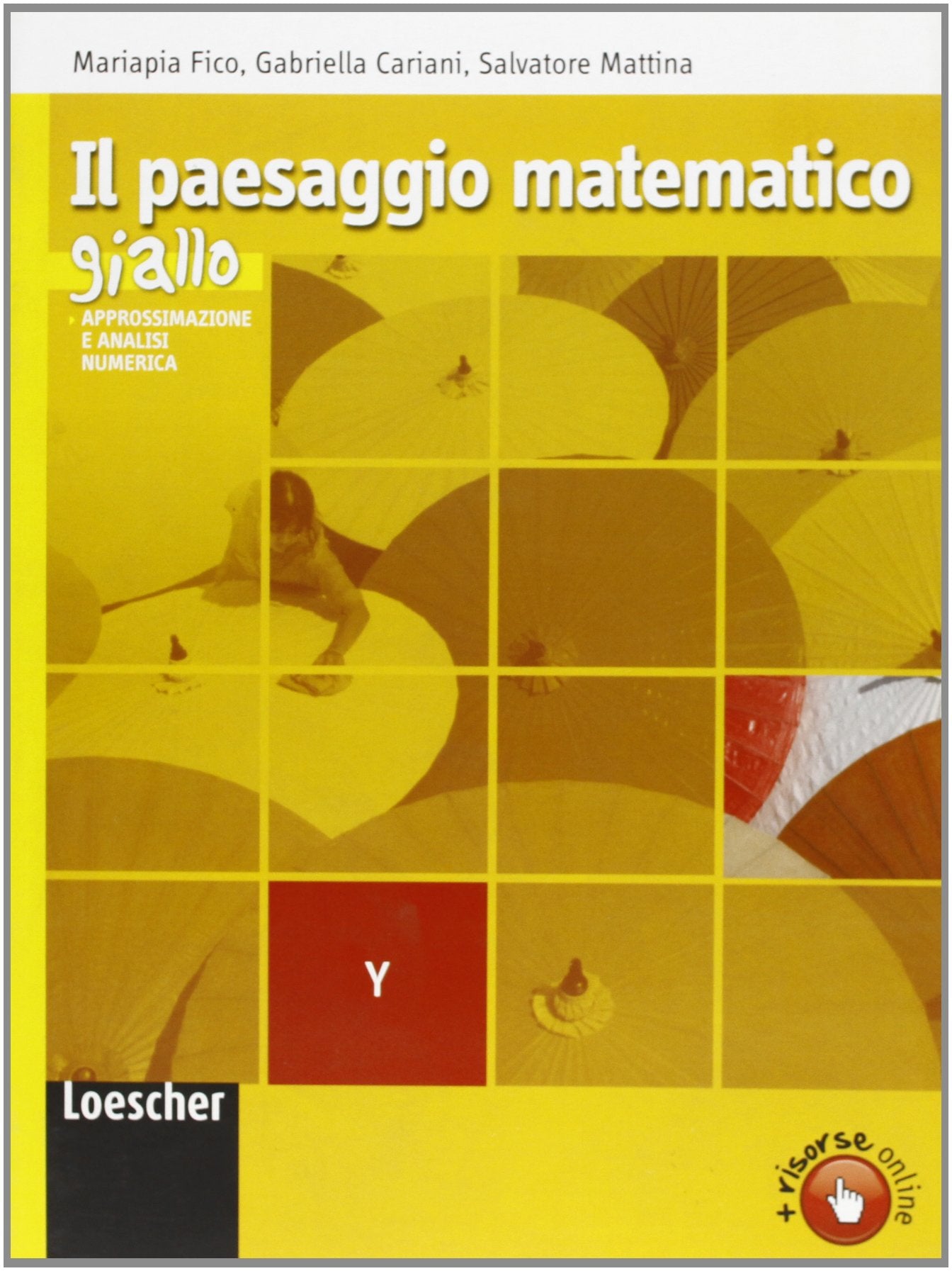 Il paesaggio matematico. Modulo Y: Approssimazione e analisi numerica. Ediz. gialla. Per le Scuole superiori. Con espansione online book