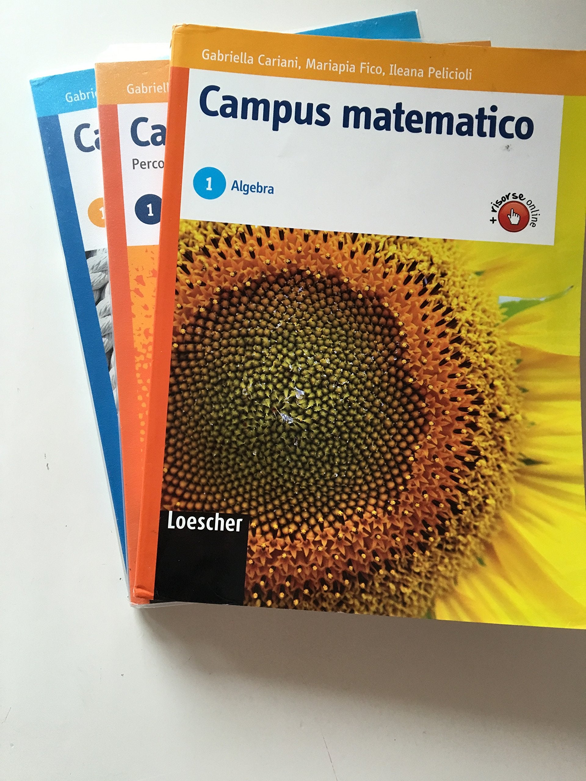 Campus matematico. Algebra. Percorsi operativi per il consolidamento e il recupero. Per le Scuole superiori. Con espansione online (Vol. 1) book
