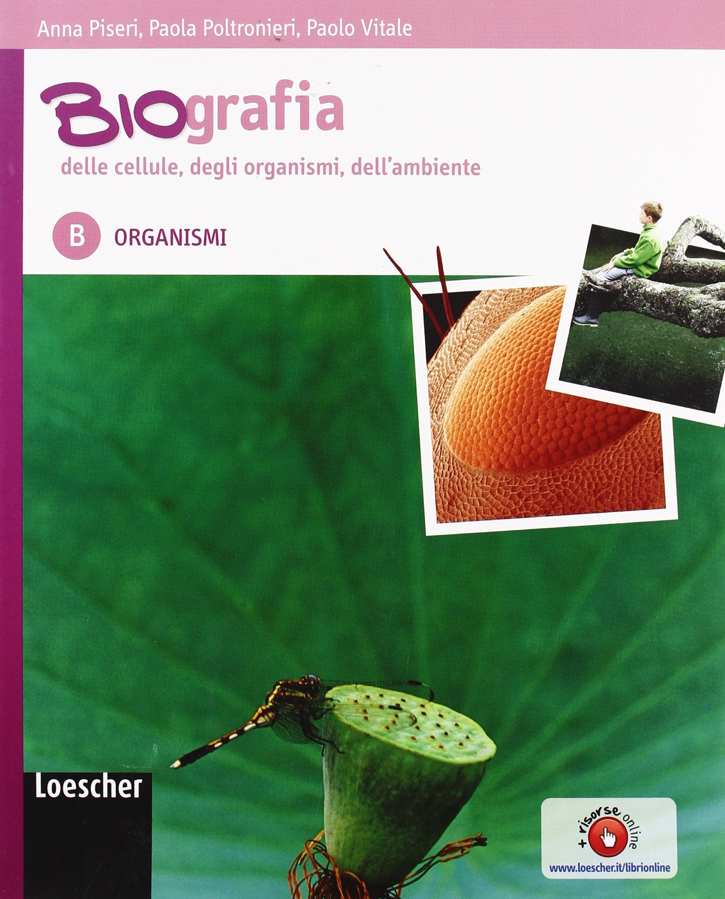 Biografia delle cellule, degli organismi, dell'ambiente. Per le Scuole superiori. Ediz. illustrata. Con espansione online. Organismi (Vol. 2) book