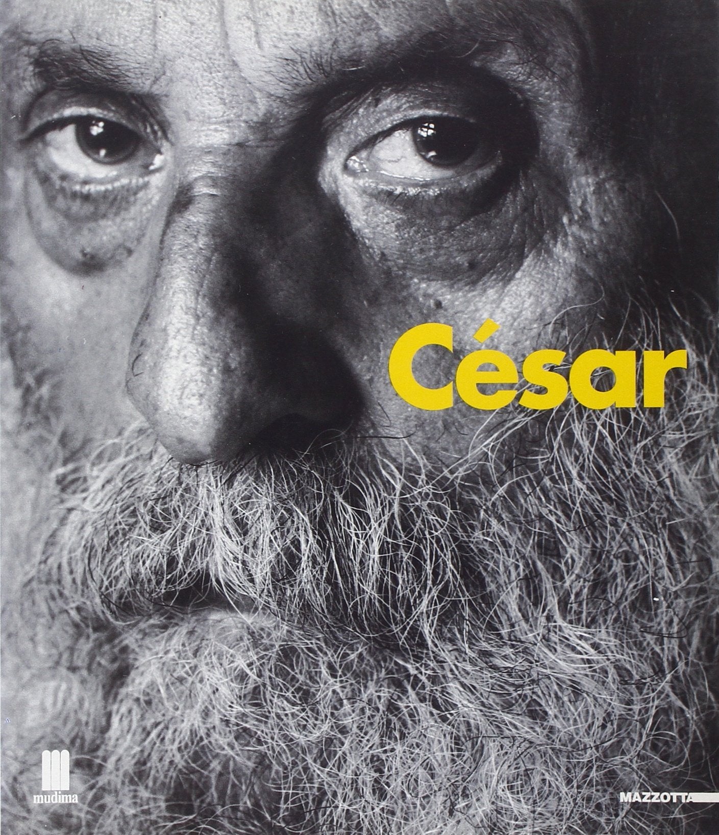 César. Catalogo della mostra (Milano, 1998). Ediz. illustrata book