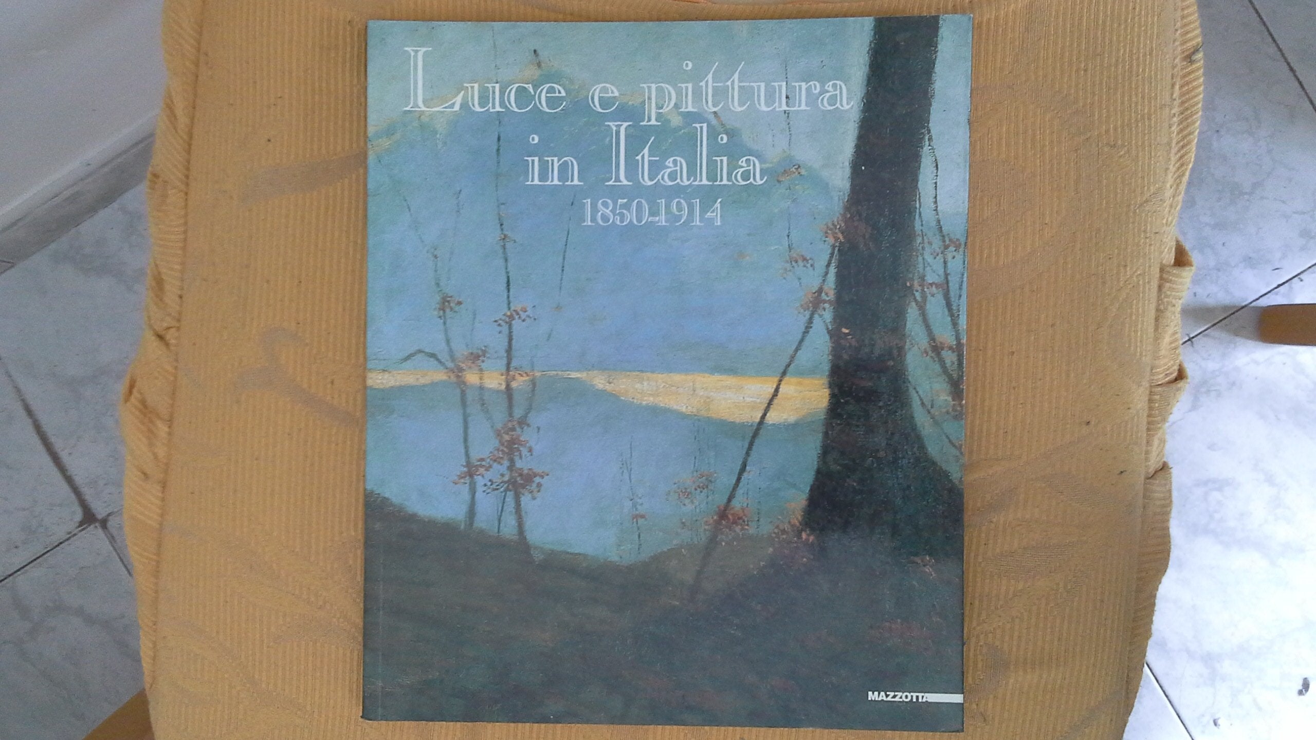 Luce e pittura in Italia-Light and painting in Italy 1850-1914. Ediz. illustrata book