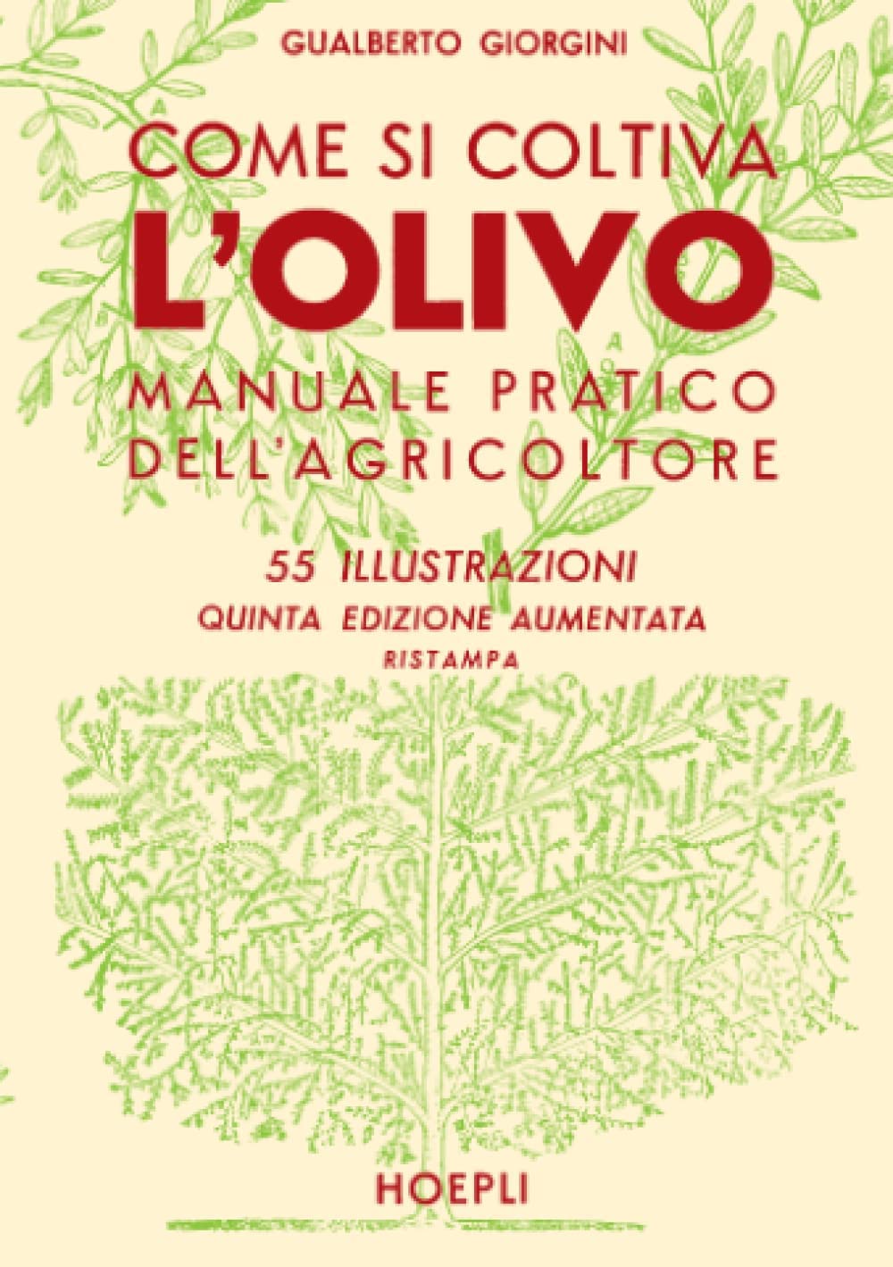 Come si coltiva l'olivo Natural Sciences