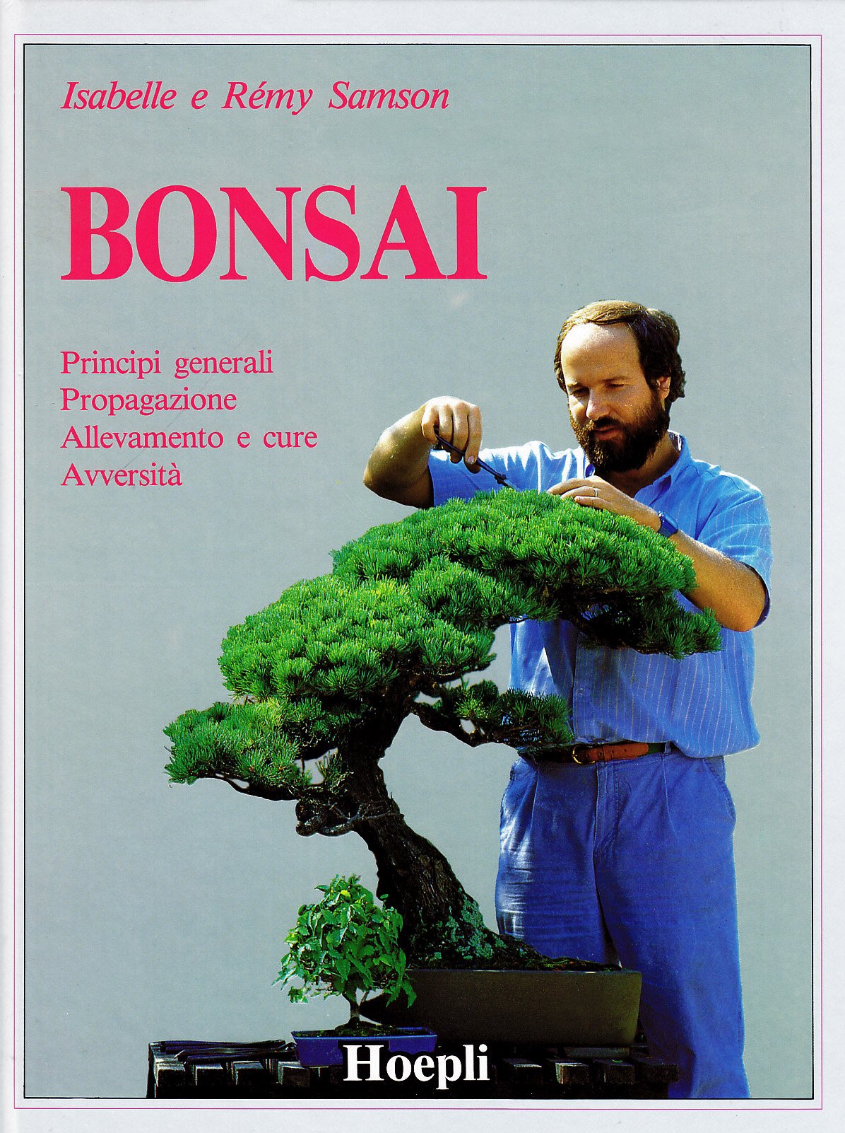 Bonsai (Piante, fiori e micologia) Leisure, Home & Garden
