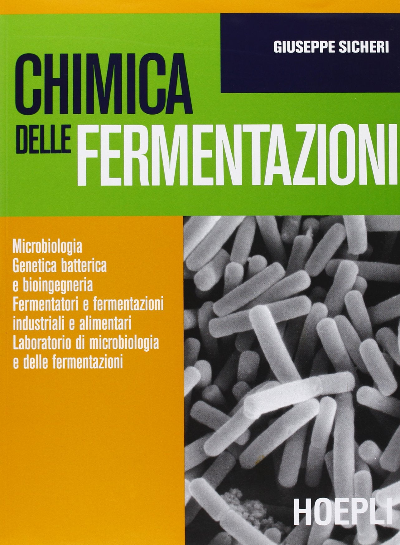 Chimica delle fermentazioni. Per gli Ist. tecnici e per gli Ist. professionali book