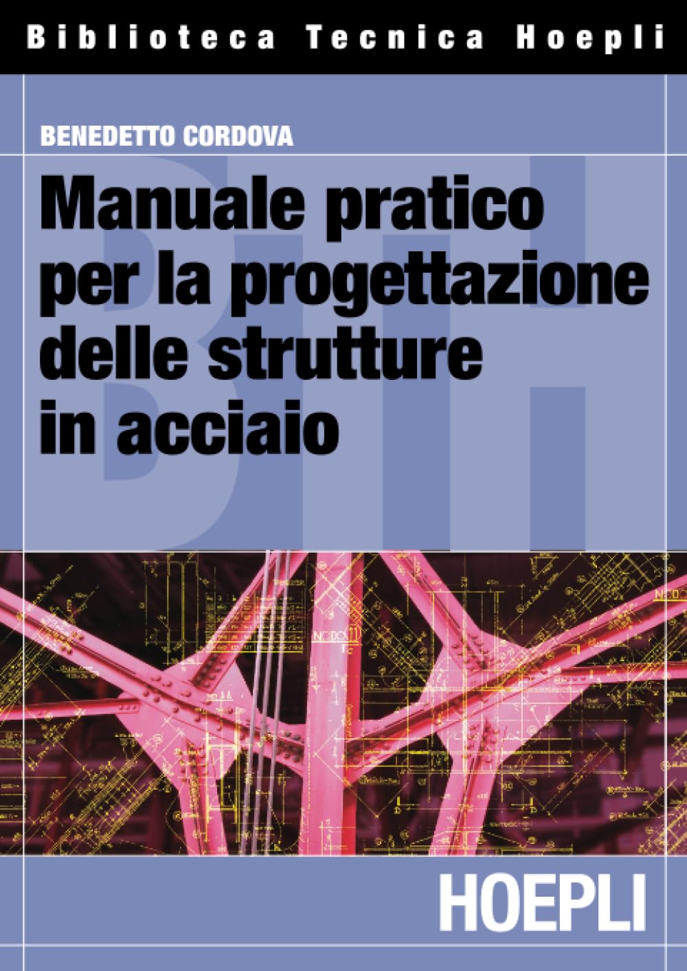 Manuale pratico per la progettazione delle strutture in acciaio book
