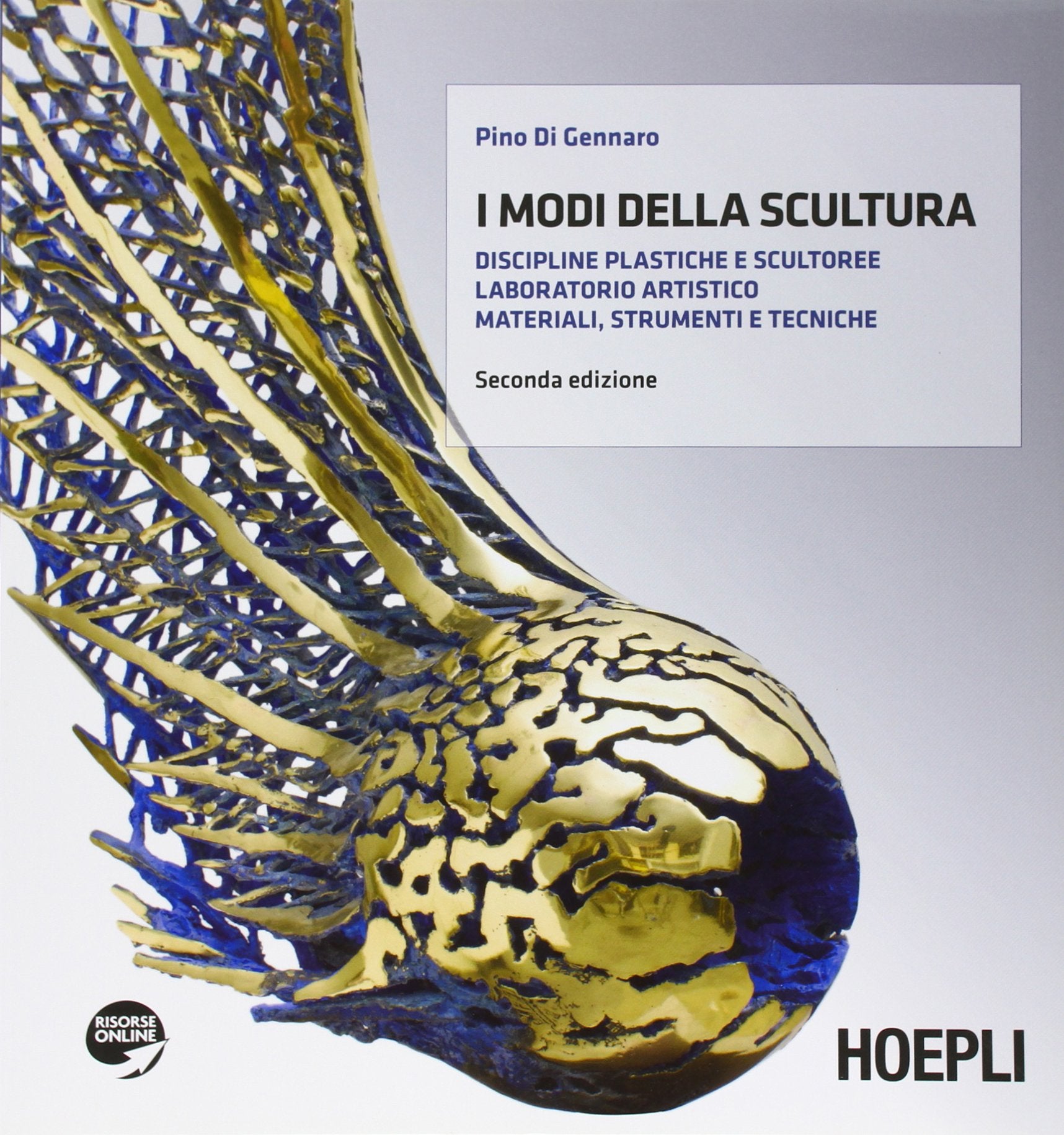 I modi della scultura. Discipline plastiche e scultoree-Laboratorio artistico-Materiali, strumenti. Per il Liceo artistico. Ediz. illustrata. Con espansione online Study Guides