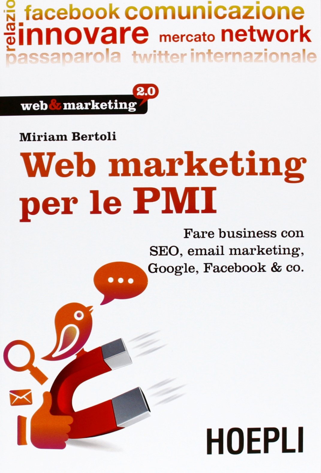 Web Marketing per le PMI. Fare business con SEO, email marketing, Google, Facebook & co. book