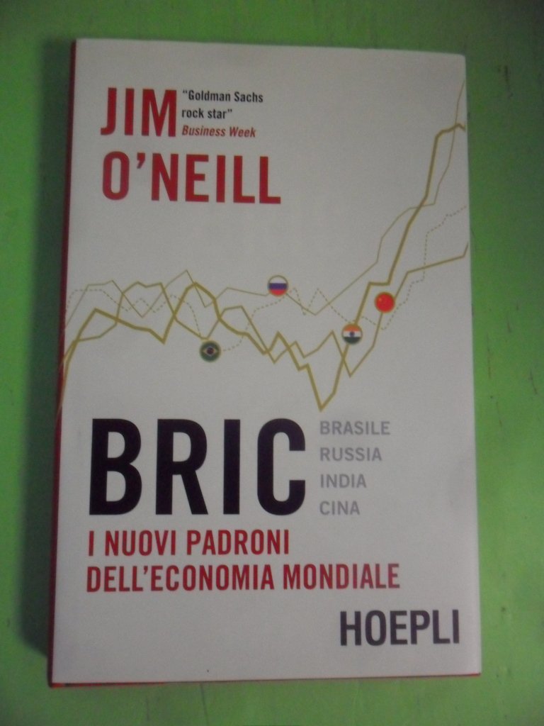 Bric. I nuovi padroni dell'economia mondiale book
