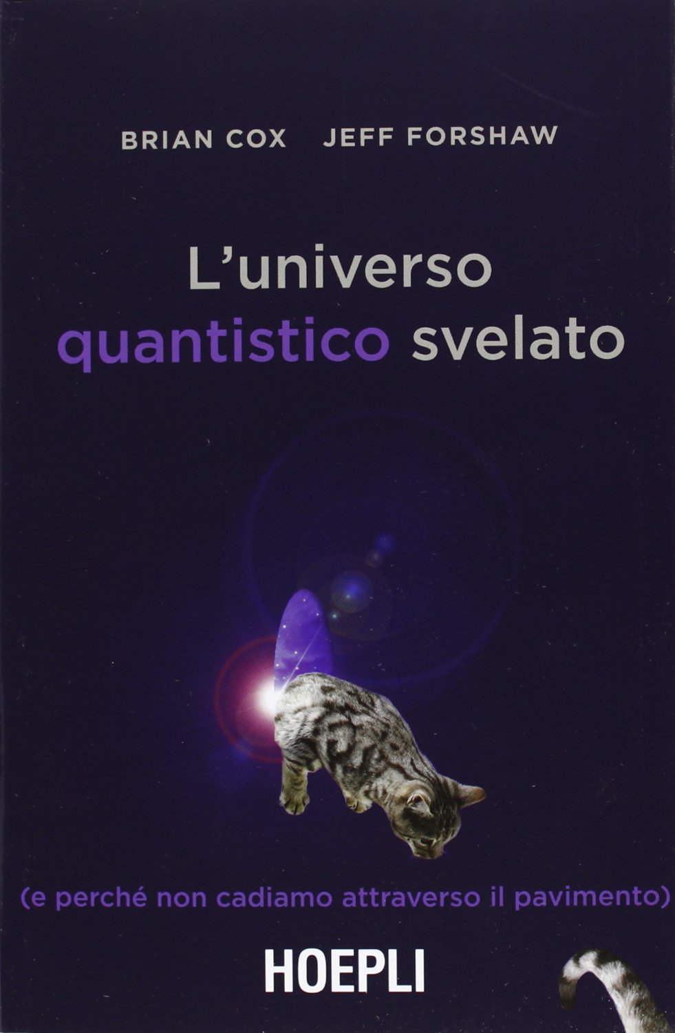 L'universo quantistico svelato (e perché non cadiamo attraverso il pavimento) book