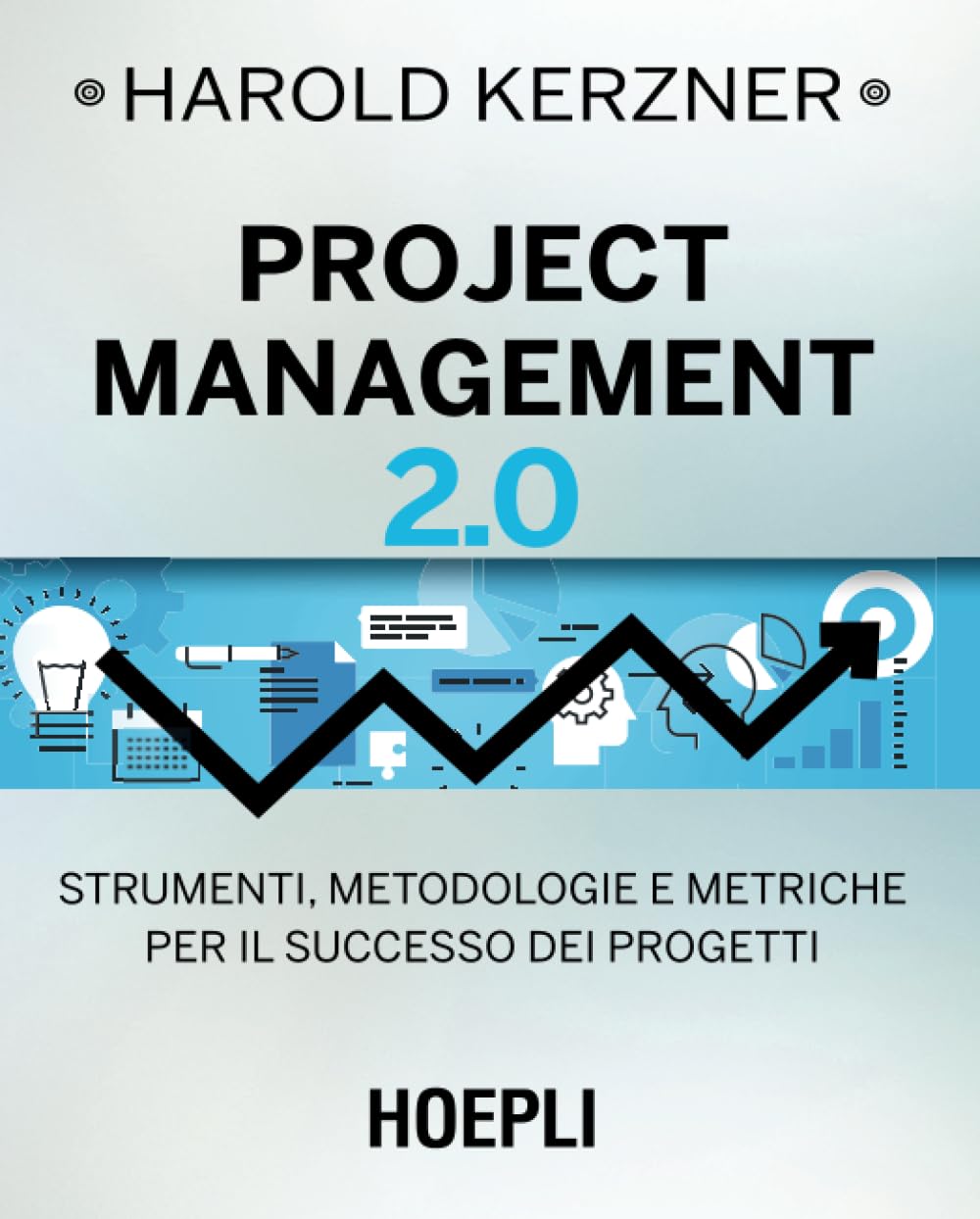 Project management 2.0. Strumenti, metodologie e metriche per il successo dei progetti Business, Finance & Career