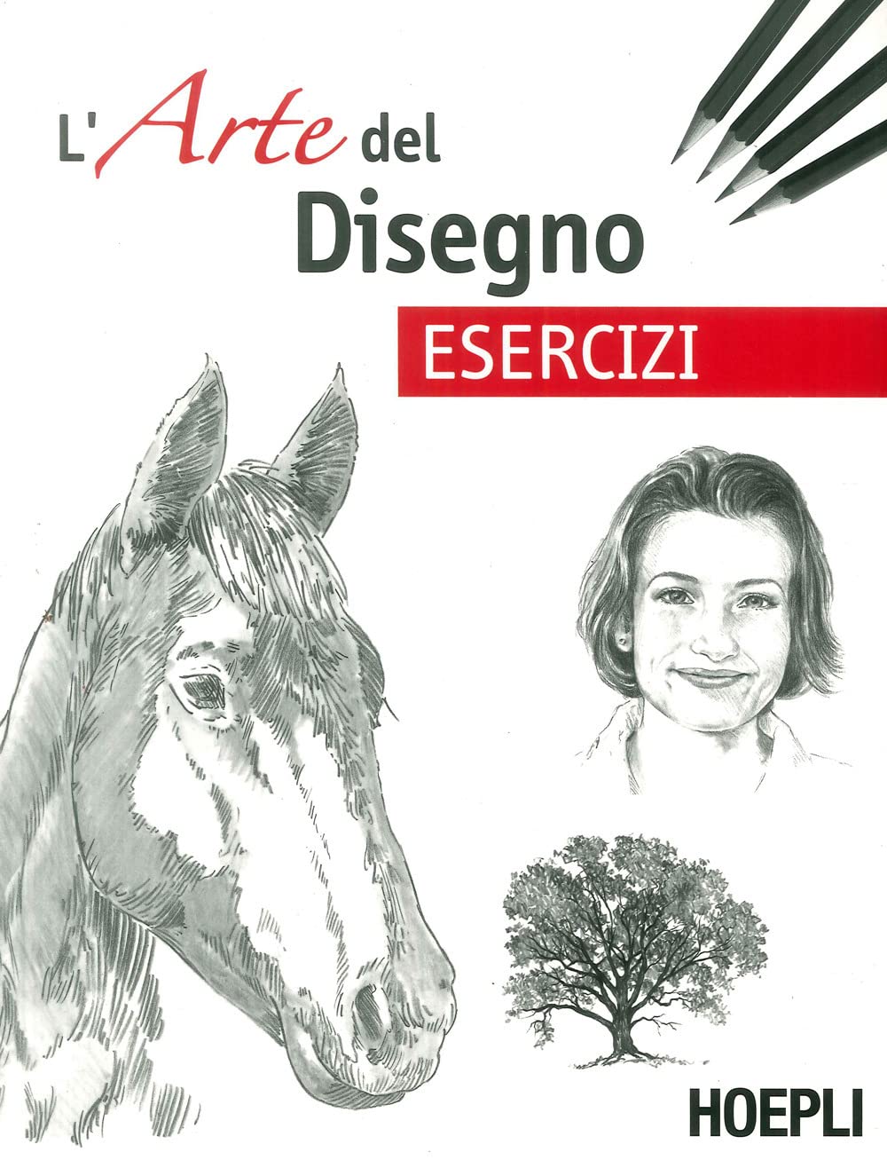 Esercizi. L'arte del disegno (Hobby e collezionismo) Arts & Music