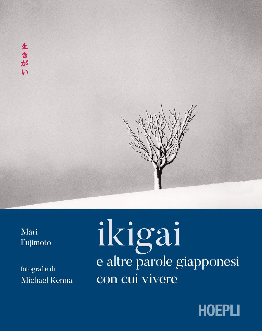 Ikigai e altre parole giapponesi con cui vivere. Ediz. illustrata book