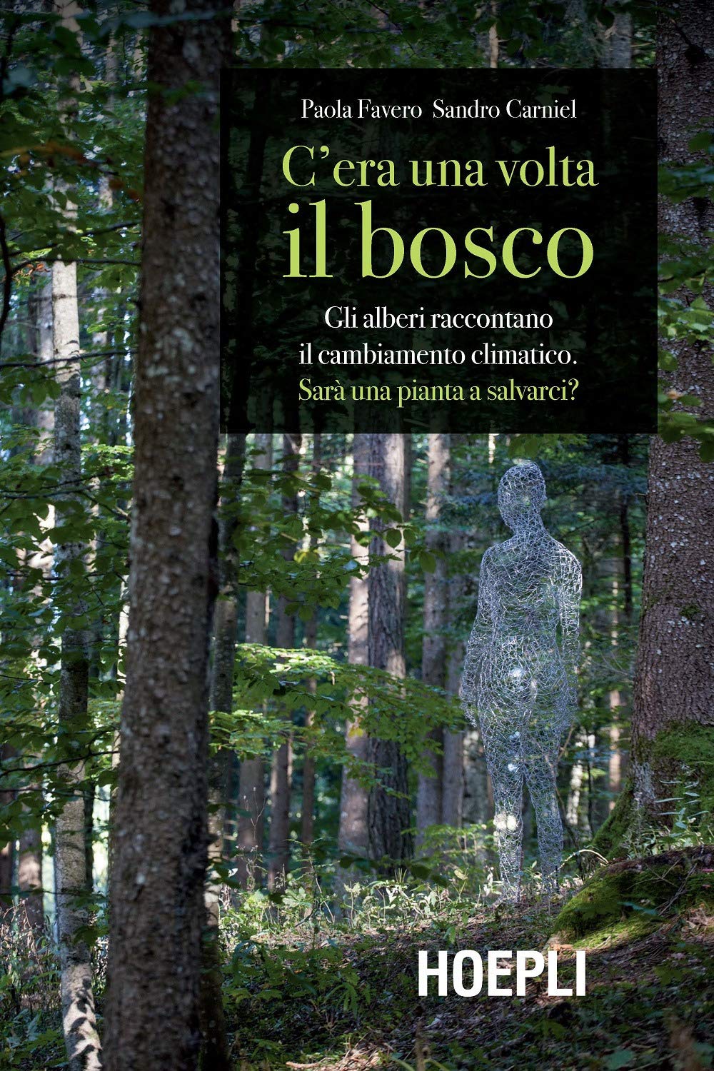 C'era una volta il bosco. Gli alberi raccontano il cambiamento climatico: sarà una pianta a salvarci? book