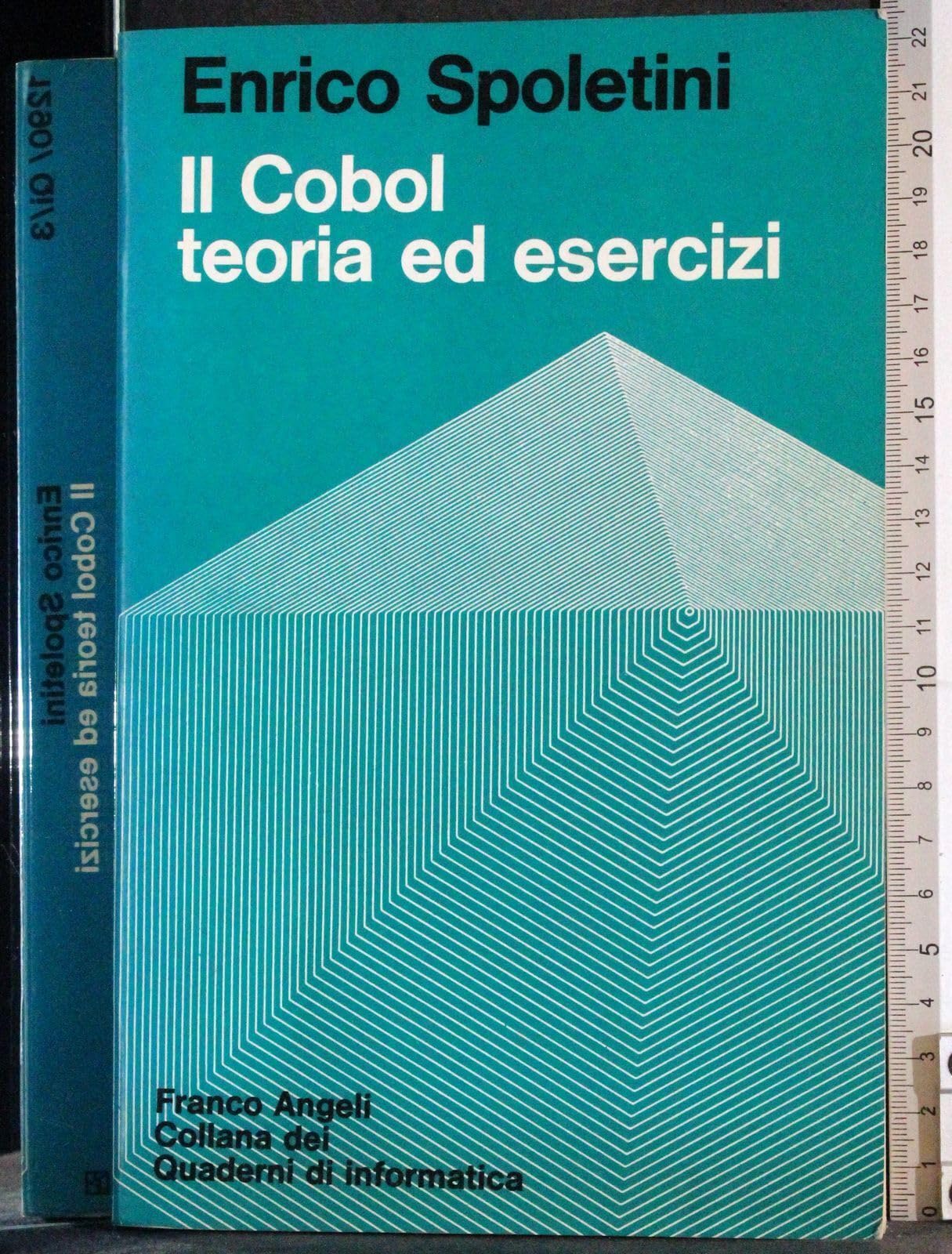 Il cobol. Teoria ed esercizi (Quaderni di informatica, Band 3) Professional & Reference Books