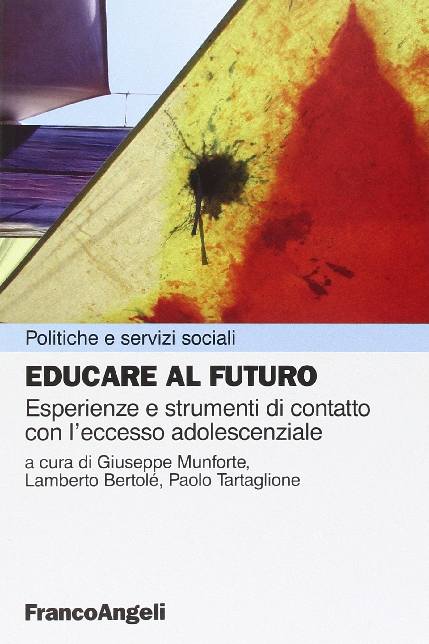 Educare al futuro. Esperienze e strumenti di contatto con l'eccesso adolescenziale book